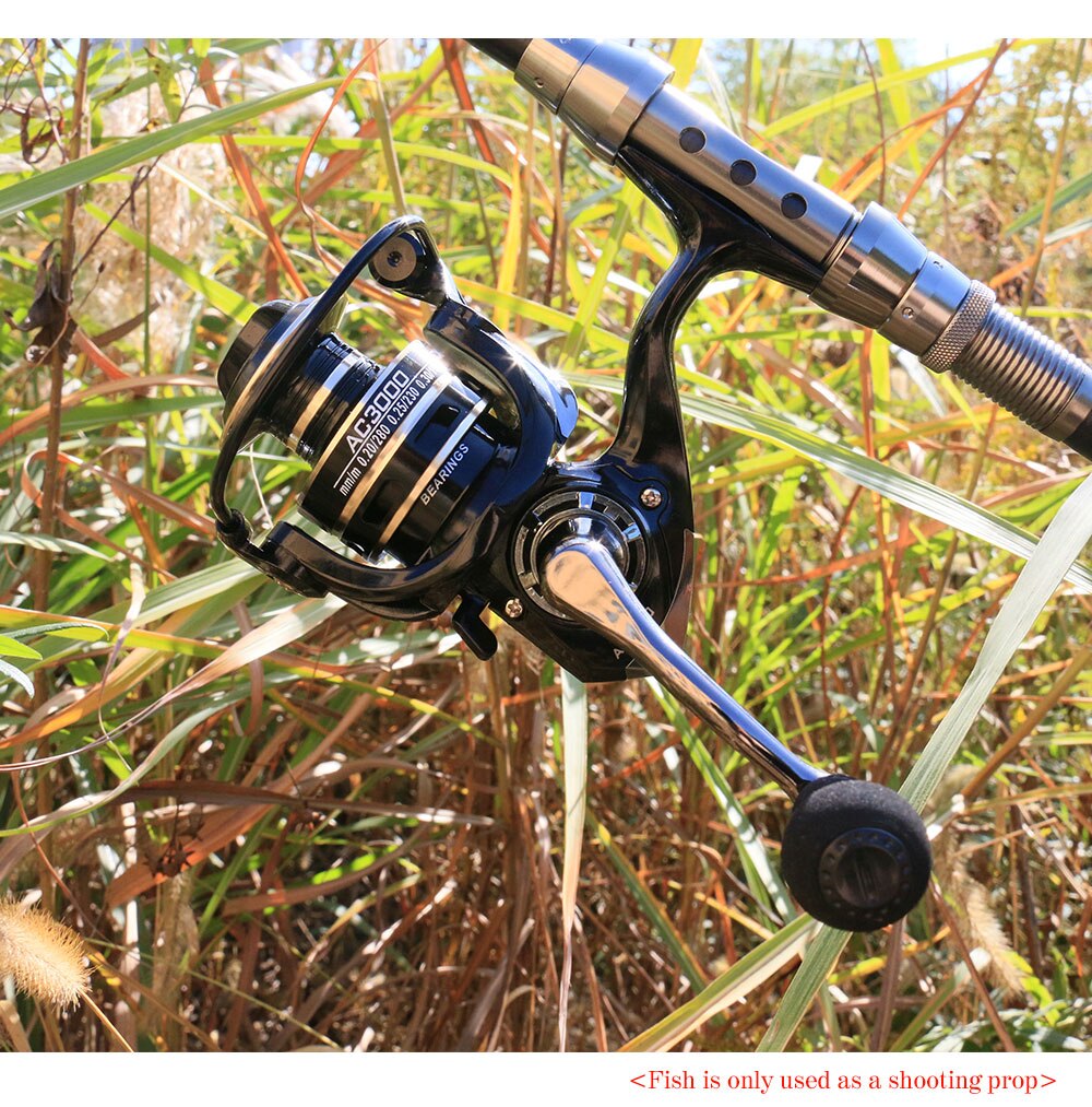 13+1BB Fishing Spinning Reel Metal Spool 5.2:1 Carp Gear