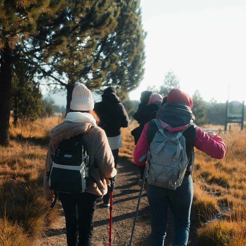 Group of people hiking on a trail with backpacks and walking sticks.